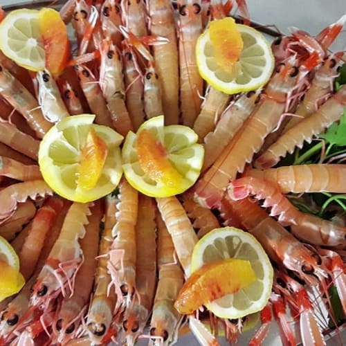 Antico Caffè Toti Pisa, Pisa