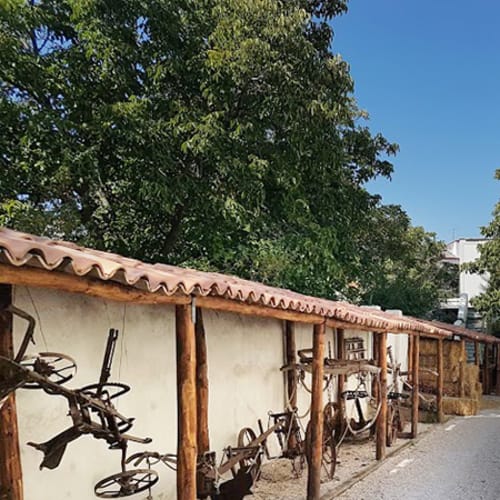 Summa Terra, Somma Vesuviana