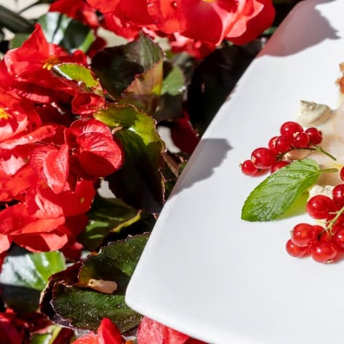 Vecchia Pescheria, Cervia