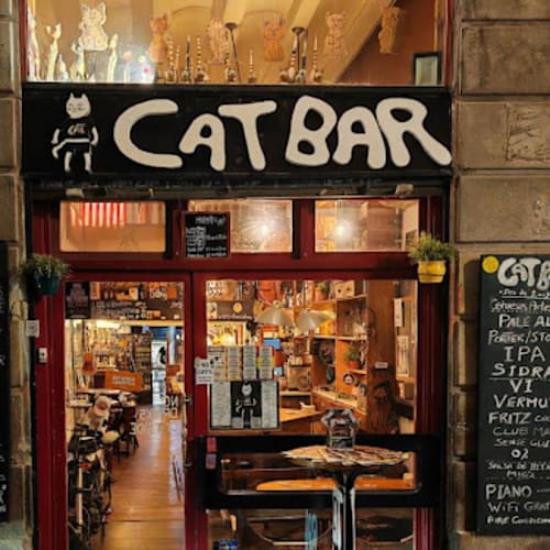 Vegan Cat Bar, Barcelona