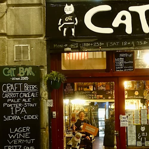 Vegan Cat Bar, Barcelona