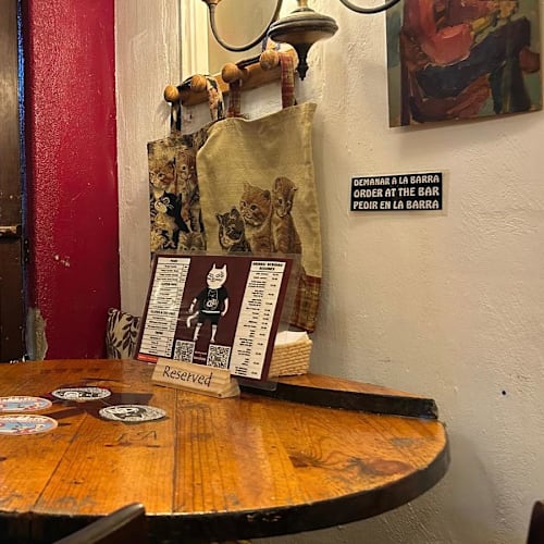 Vegan Cat Bar, Barcelona