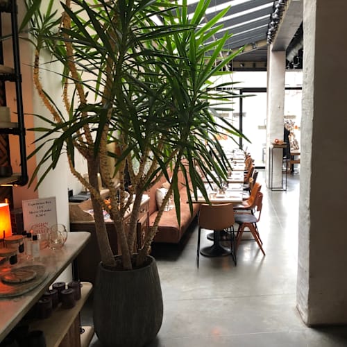 Cosma, Mechelen