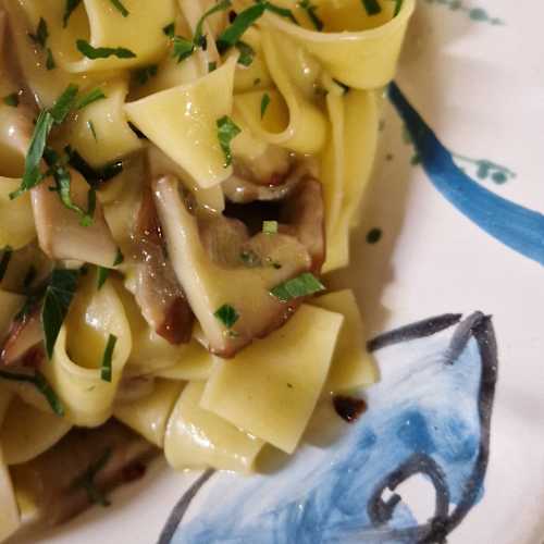 Lunapontina, Bruxelles