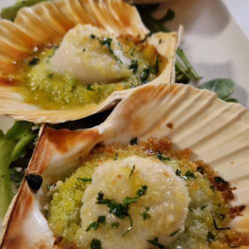 Lunapontina, Bruxelles