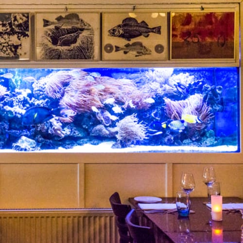 Lucius Visrestaurant, Amsterdam