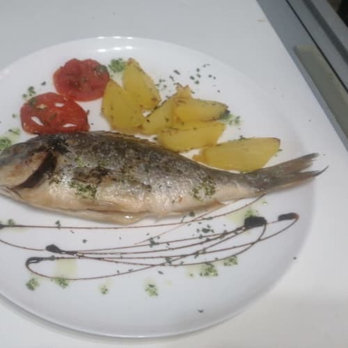Blue fish, Albisola Superiore