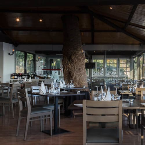 Os Prazeres da Carne, Cascais