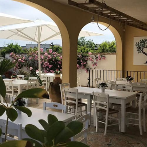 La Corte degli Ulivi, Vignacastrisi