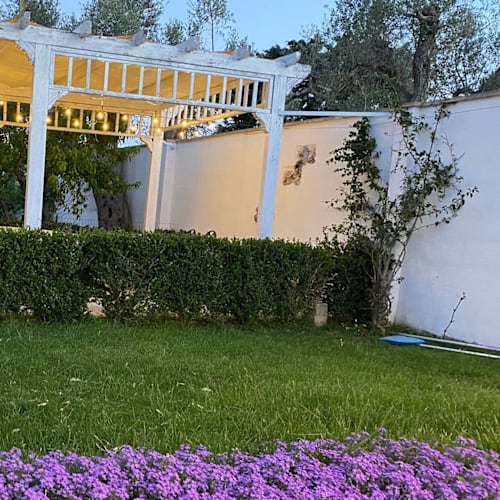 La Corte degli Ulivi, Vignacastrisi