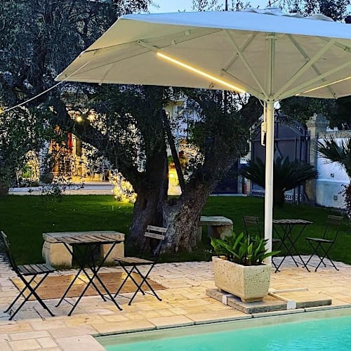 La Corte degli Ulivi, Vignacastrisi