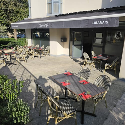 Cedre d'Or Chatenay, Châtenay-Malabry