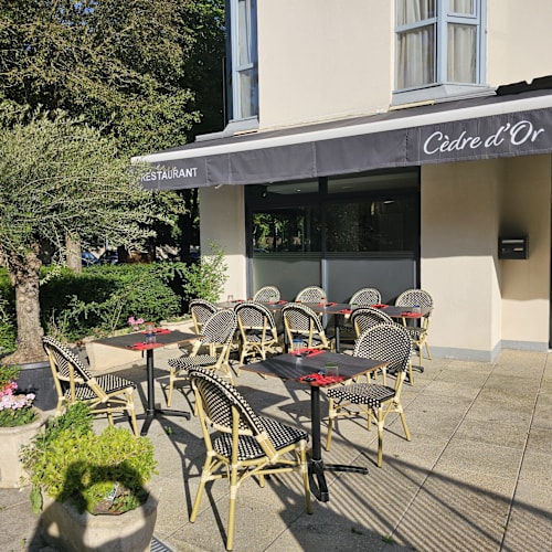 Cedre d'Or Chatenay, Châtenay-Malabry