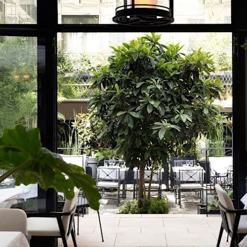 Il Giardino, Paris