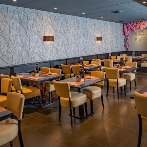 Noori Fusion, Amsterdam