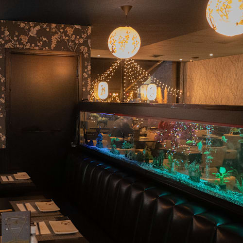 Noori Fusion, Amsterdam