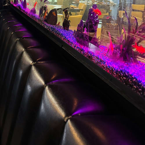 Noori Fusion, Amsterdam