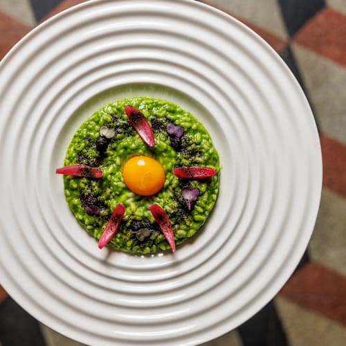 Delicato, Contigliano