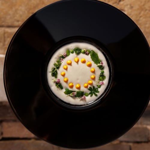 Delicato, Contigliano