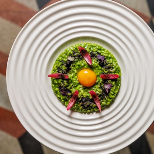 Delicato, Contigliano