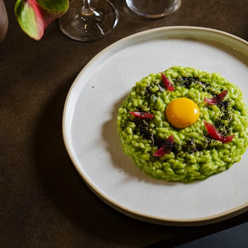 Delicato, Contigliano