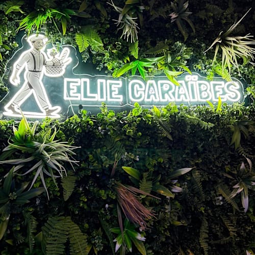 Elie Caraïbes, Toulouse