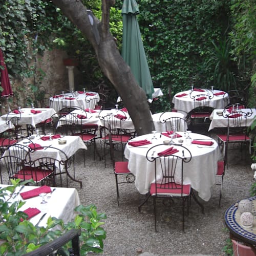 Le New Punjab, Grasse