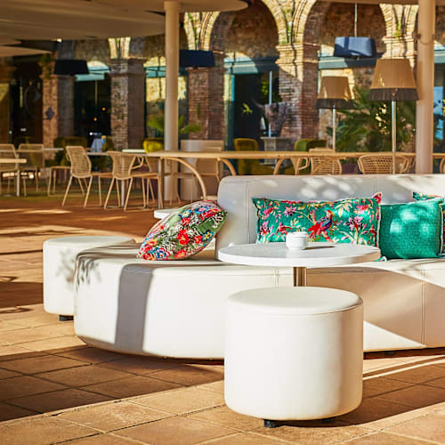 Drac, La Bisbal d'Empordà