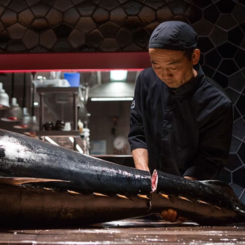 TunaTeca Balfegó, Barcelona