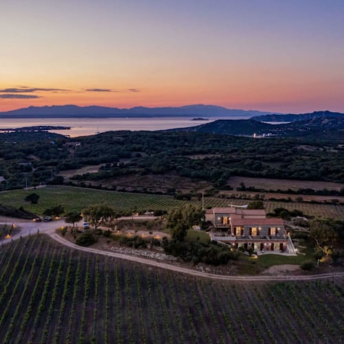 Degustazione Tenuta Petra Bianca, Palau