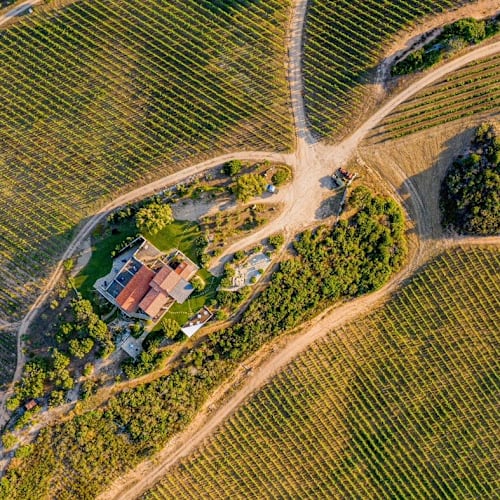 Degustazione Tenuta Petra Bianca, Palau