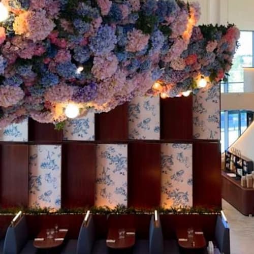 Les Hortensias, Douains