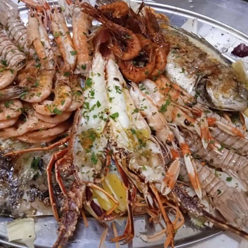 Il sugherino, Civitavecchia