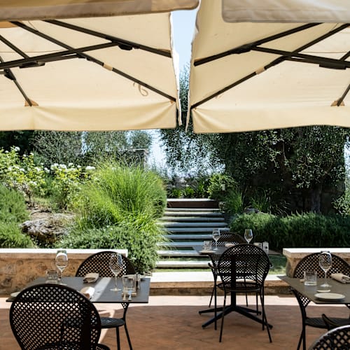 Cantinetta dei Logi, San Gimignano