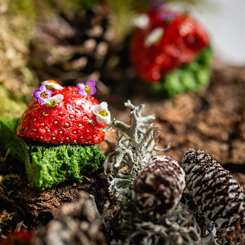 Reina XIV, Real Sitio de San Ildefonso