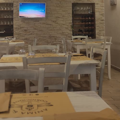 Anima e Cornicione, Salerno