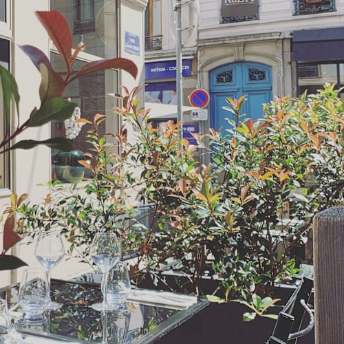 Chez Raphaël, Lyon