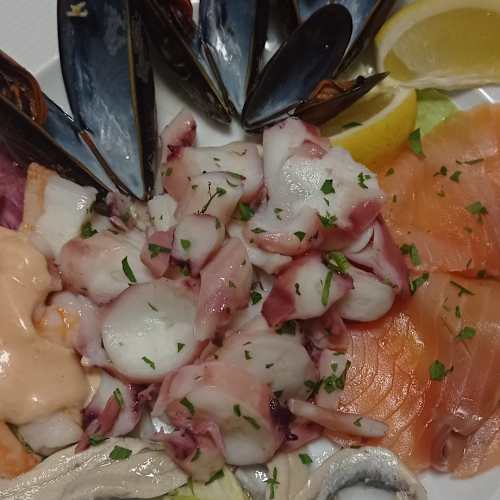 Nuevo Don Carlos, Varese