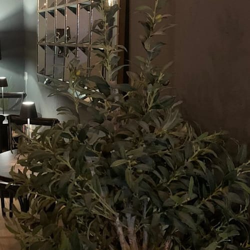 AM Restaurant, Torino