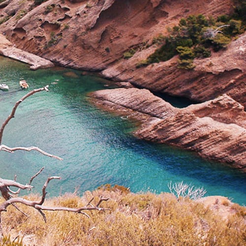 Chez Tania - La Calanque de Figuerolles, La Ciotat