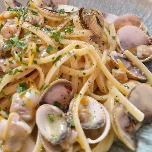 TerraViva, Montreuil