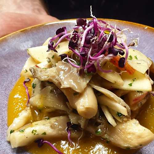 TerraViva, Montreuil