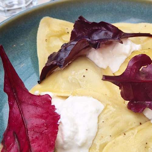 TerraViva, Montreuil