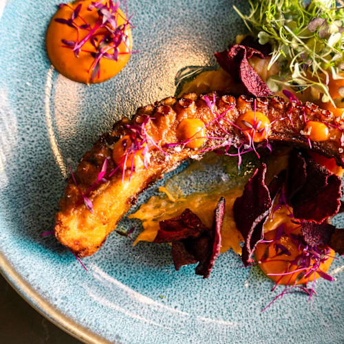 Cayote, Santa Cruz de Tenerife