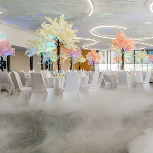 Le Bourgeois, Sierre