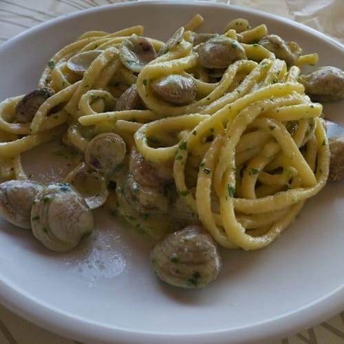Morus alba gargano, Foce Varano