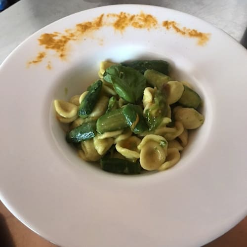 Morus alba gargano, Foce Varano