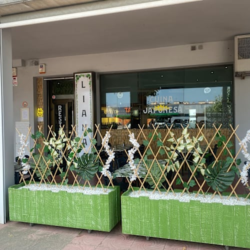 LIANAS, Palamós