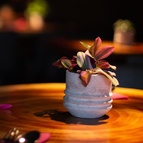 Thai Café Malines, Mechelen