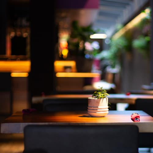 Thai Café Malines, Mechelen